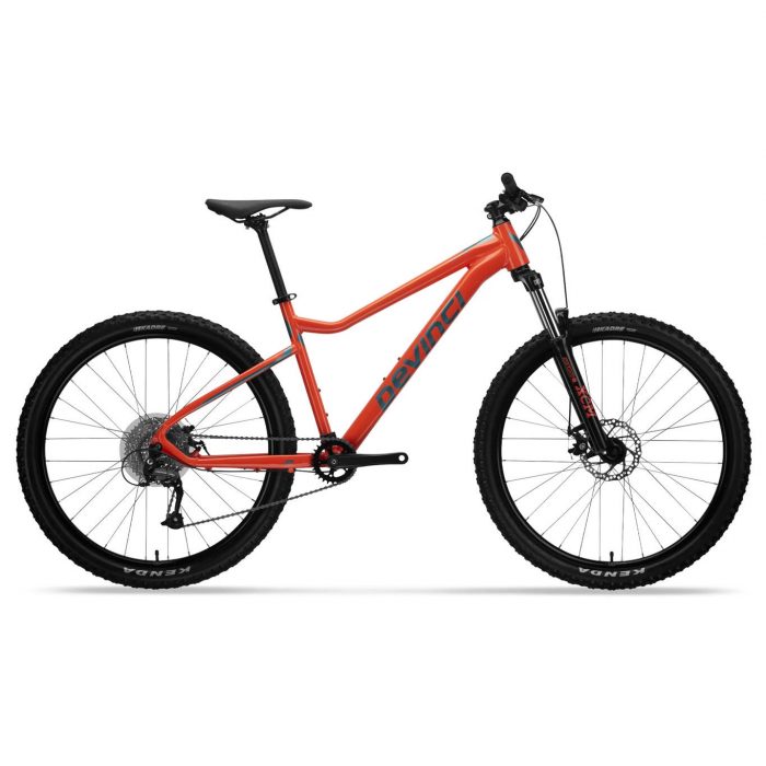 Devinci Blackbird Altus 8 Spd.